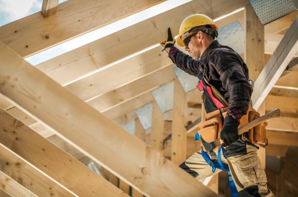 Best Roof Gutter Cleaning  in Ellsworth, KS