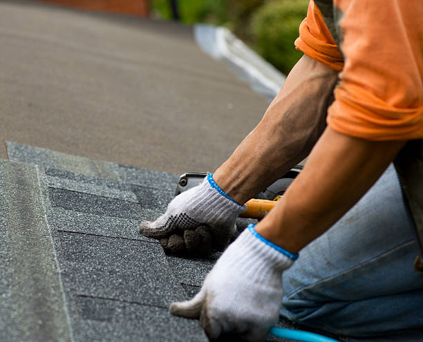 Best Roof Leak Repair  in Ellsworth, KS